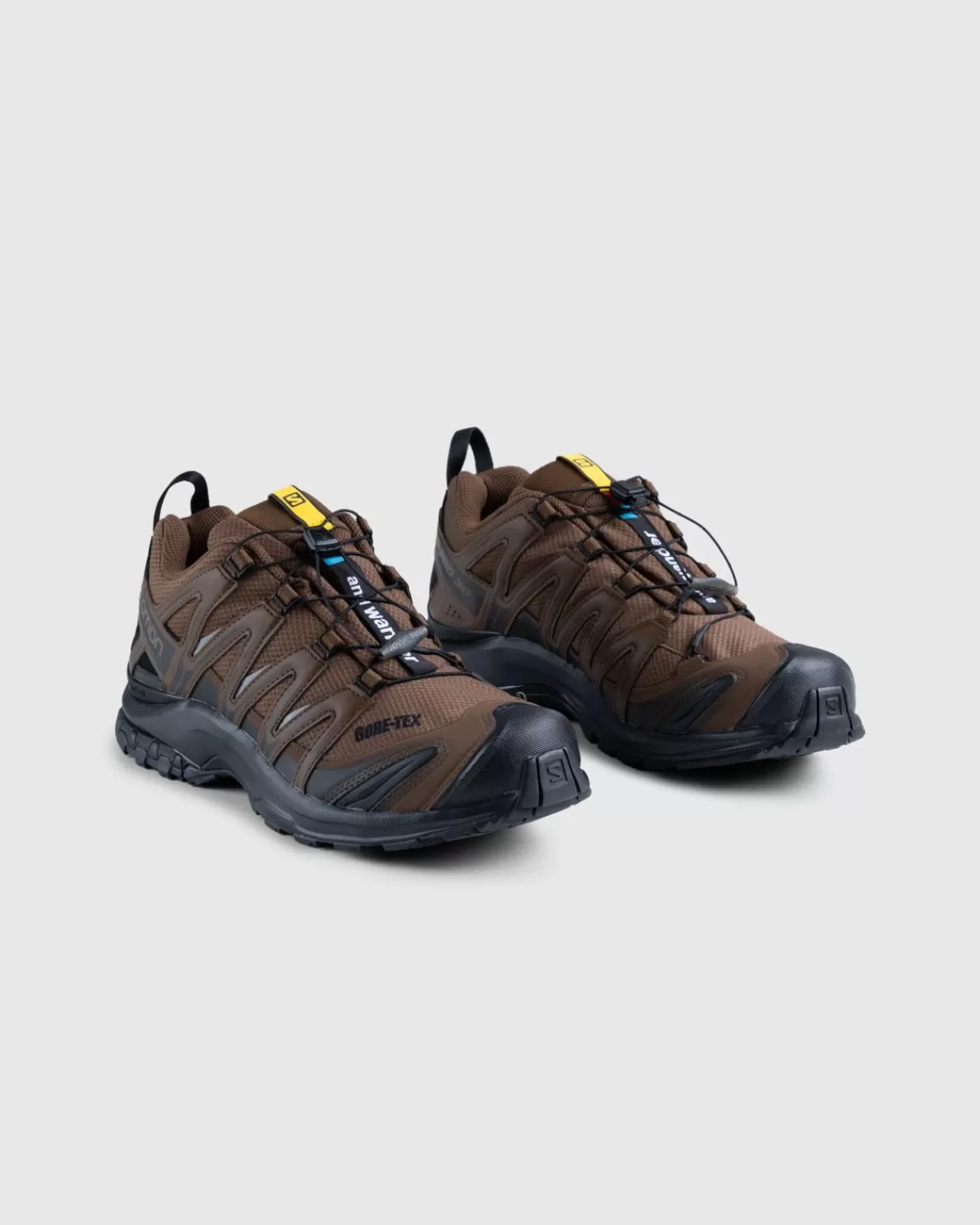 Salomon X And Wander Xa Pro 3D Gore-Tex Bruin Sale