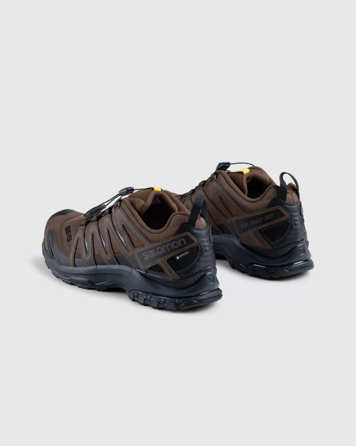 Salomon X And Wander Xa Pro 3D Gore-Tex Bruin Sale